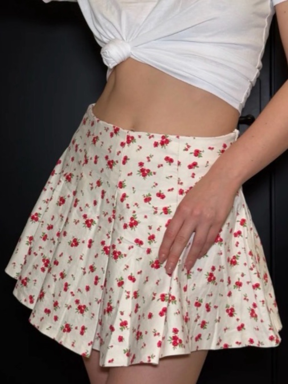 Zara Floral A-Line Mini Skirt in Cream with Pink/Red Rose Print